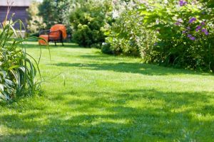 travaux jardin et paysage Geispolsheim